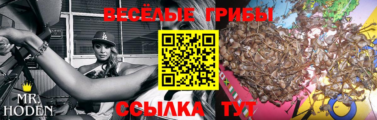 Галлюциногенные грибы мухоморы Люберцы